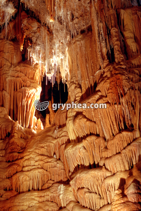 Grotte de Clamouse - draperies, colonnes et fistuleuses - gryphea.org